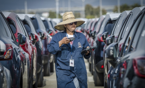 Pasha Hawaii, Vehicles